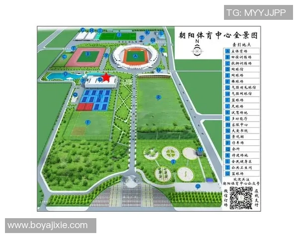 北京羽毛球队在钻石联赛中的战术分析与表现评估 北京羽毛球队在钻石联赛中的战术分析与表现评估